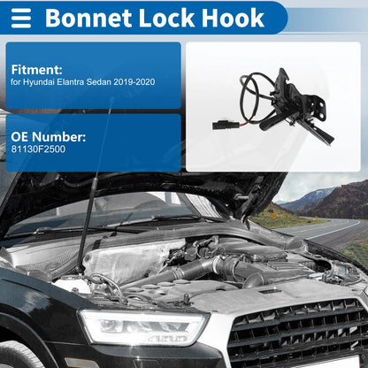 Hood Latch Assembly for Hyundai Elantra Sedan (2019–2020) No. 81130F2500