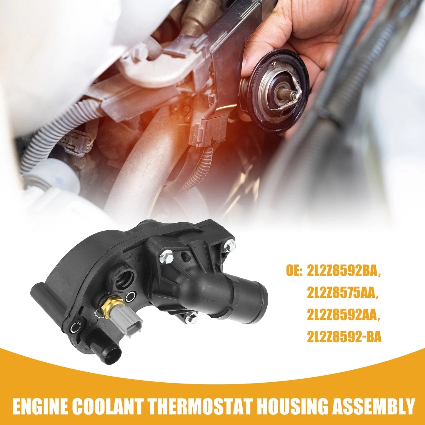 Engine Coolant Thermostat Assembly No.2L2Z8592BA for Mercury Mustang
