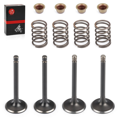 Valve Set with Seals for EZGO Gas 4 Stroke 295cc 350cc (1996–Present)