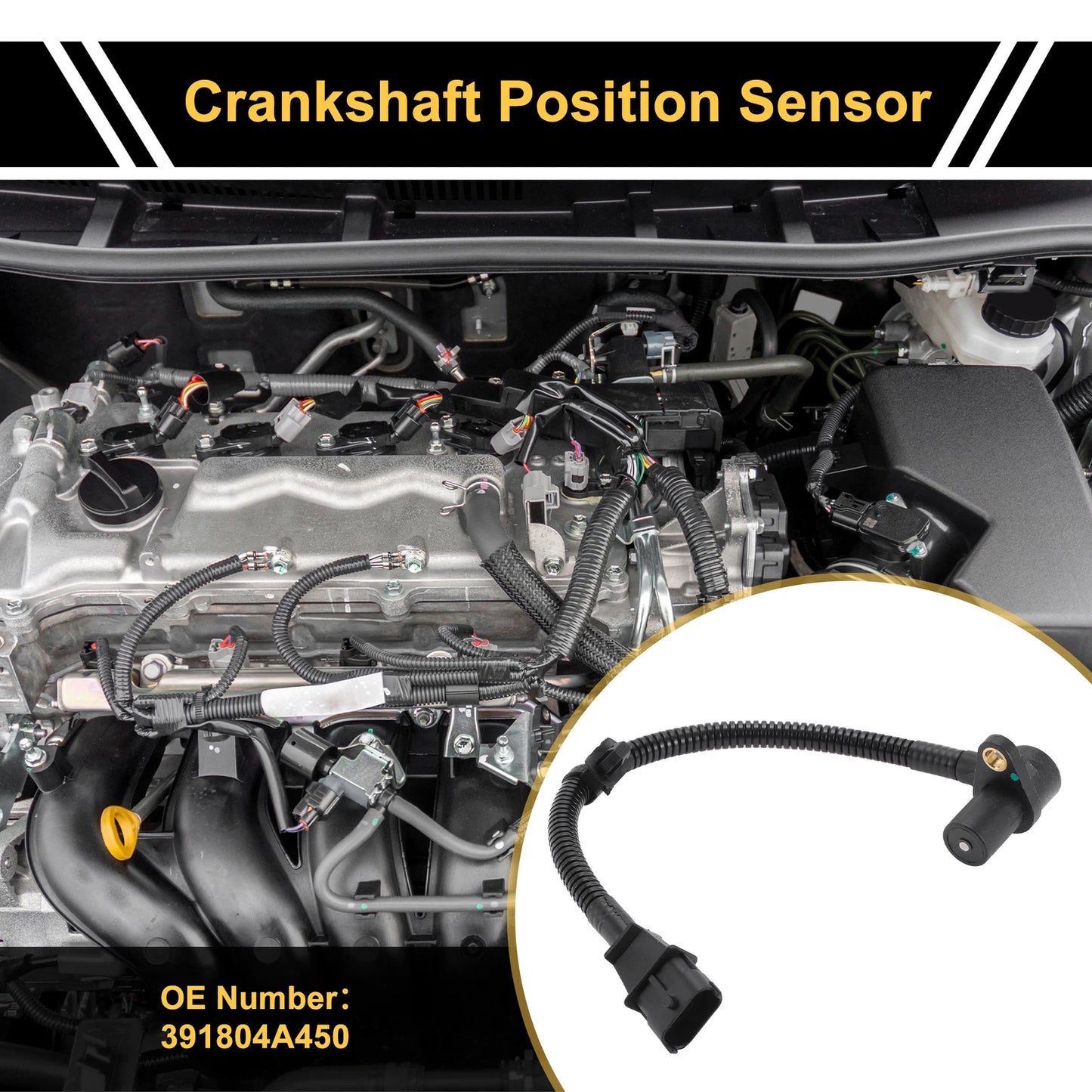 Crankshaft Position Sensor No.391804A450 for Hyundai H100 (2010)
