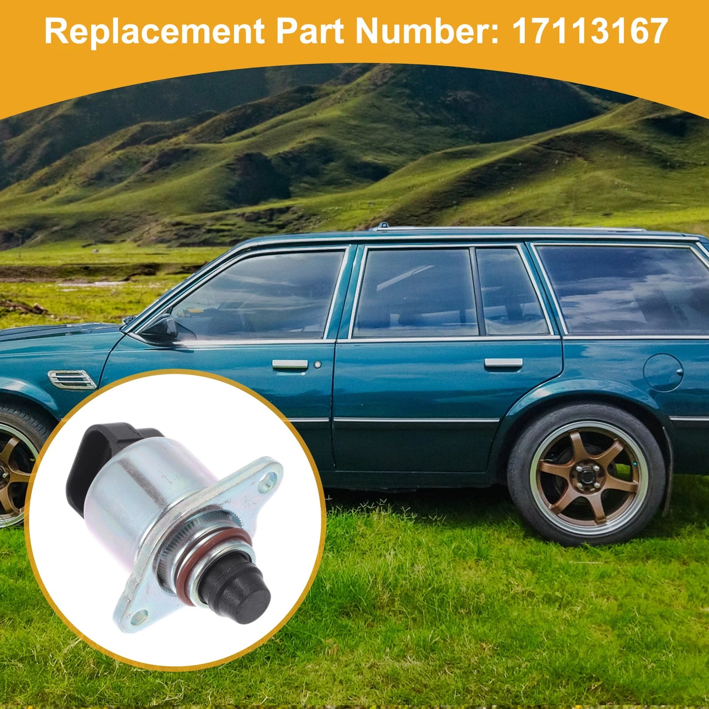 Idle Air Control Valve for Chevrolet Cavalier (1995) No. 17113167