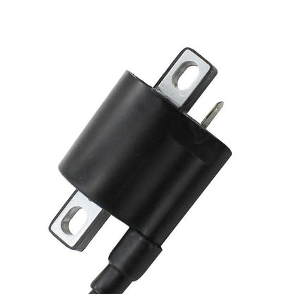 2 x Ignition Coils Left & Right / 12103CM / ABS Plastic for ATVs Scooters