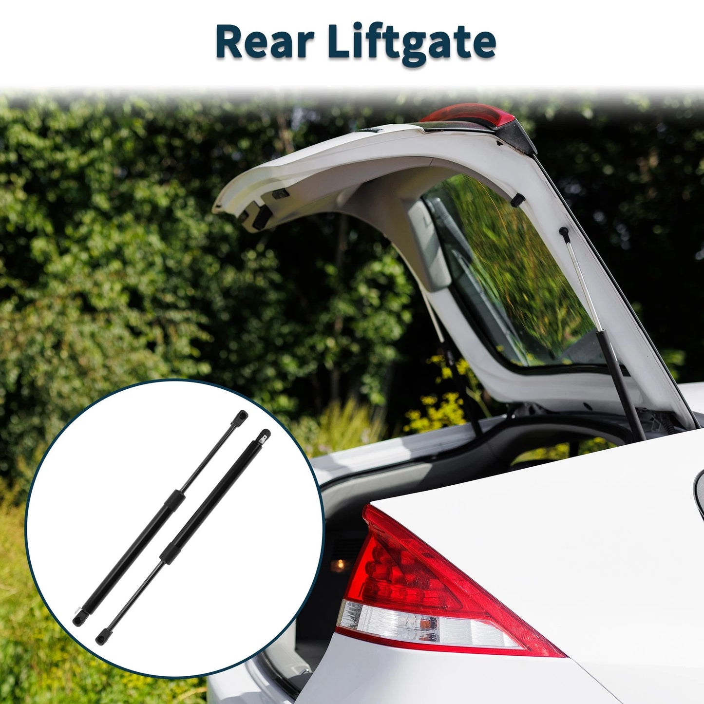 Rear Hatch Lift Supports Struts for Chevrolet Corvette (2005–2013)