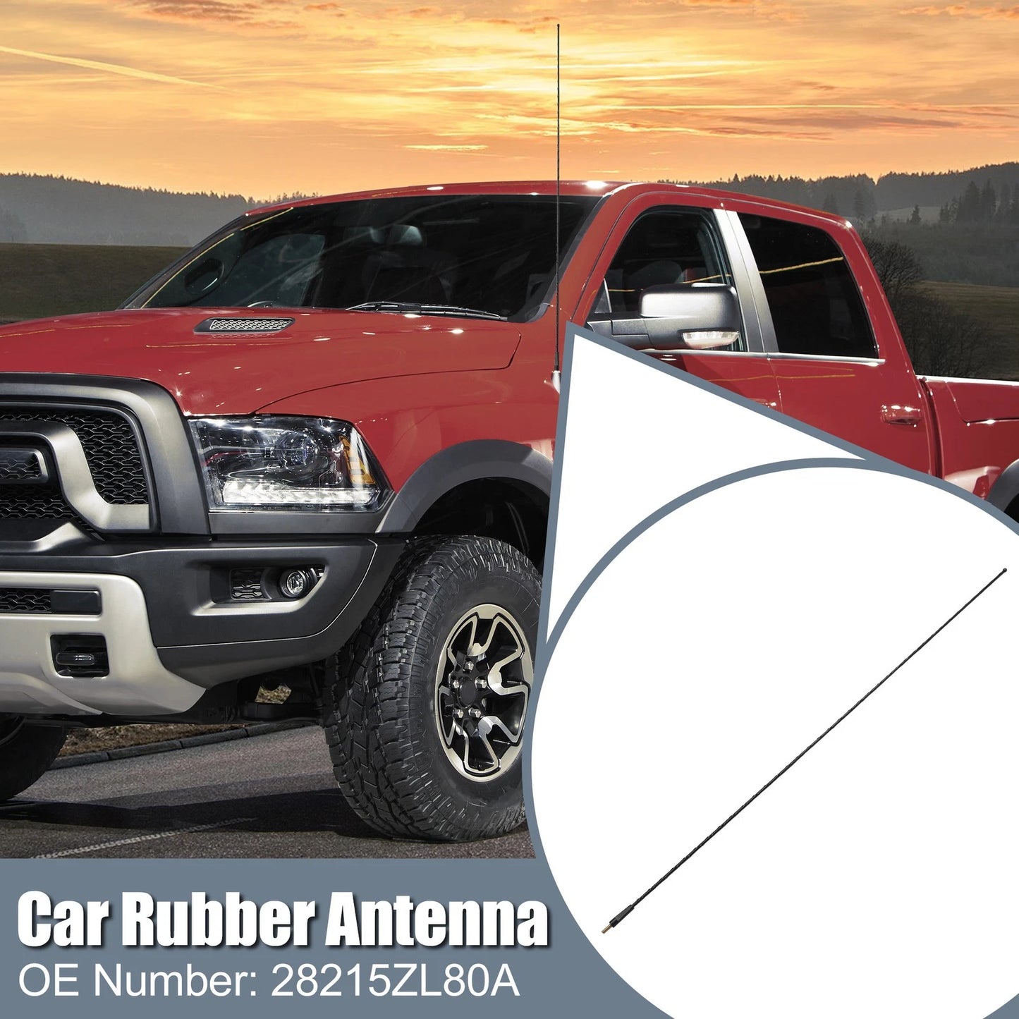 Antenna for Nissan Frontier (2005–2023) FM/AM Radio Signal No. 28215ZL80A