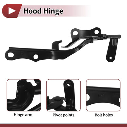 Hood Hinge for Toyota Sienna (2021–2024) Right Side, 1 pcs