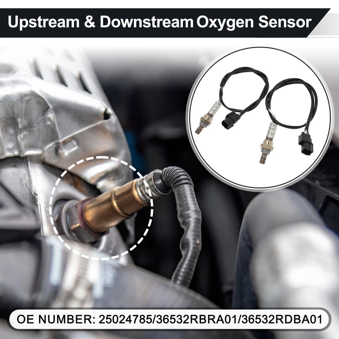 Set of 2 Downstream Oxygen Sensors for Honda Accord V6 3.5L (No. 25024785)
