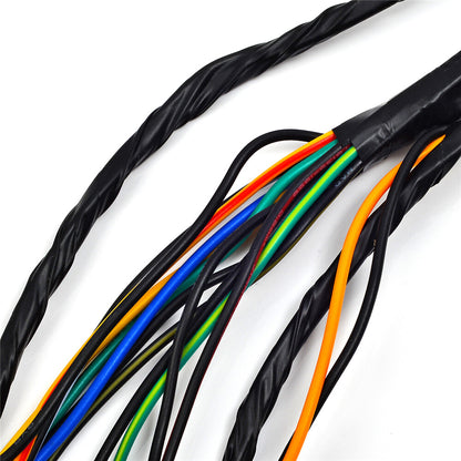 Wire Harness for Yamaha Banshee 350 (2002–2006)