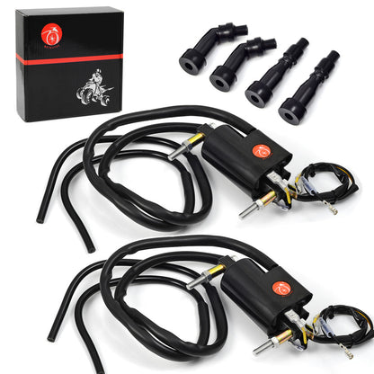 2X Ignition Coil for Suzuki Bandit GSF600 (1996–2003)
