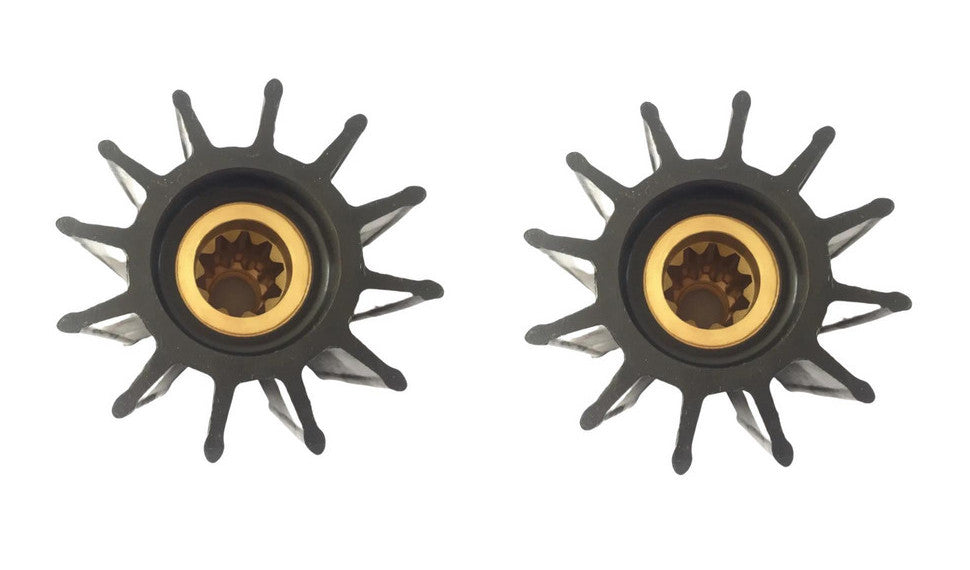 Set of 2 Flexible Impeller Water Pumps for Sherwood