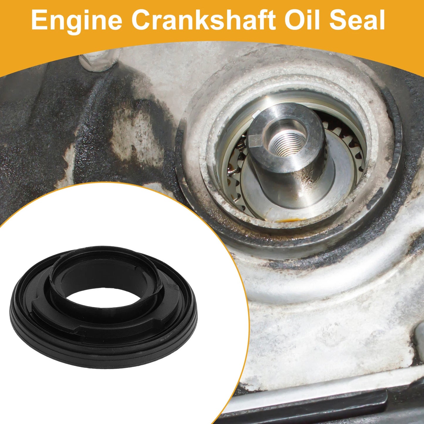 Front Crankshaft Oil Seal for Ford Transit (No. 1557881)