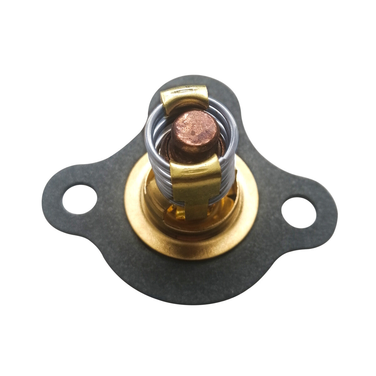 Thermostat & Gasket Kit for Mercruiser 3.0L