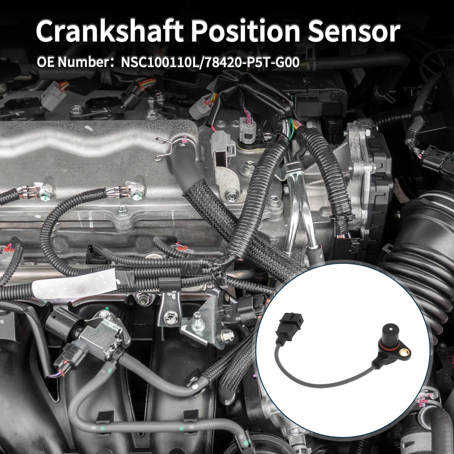 Crankshaft Position Sensor for Honda Accord 2.0 Turbo DI (1999-2002)