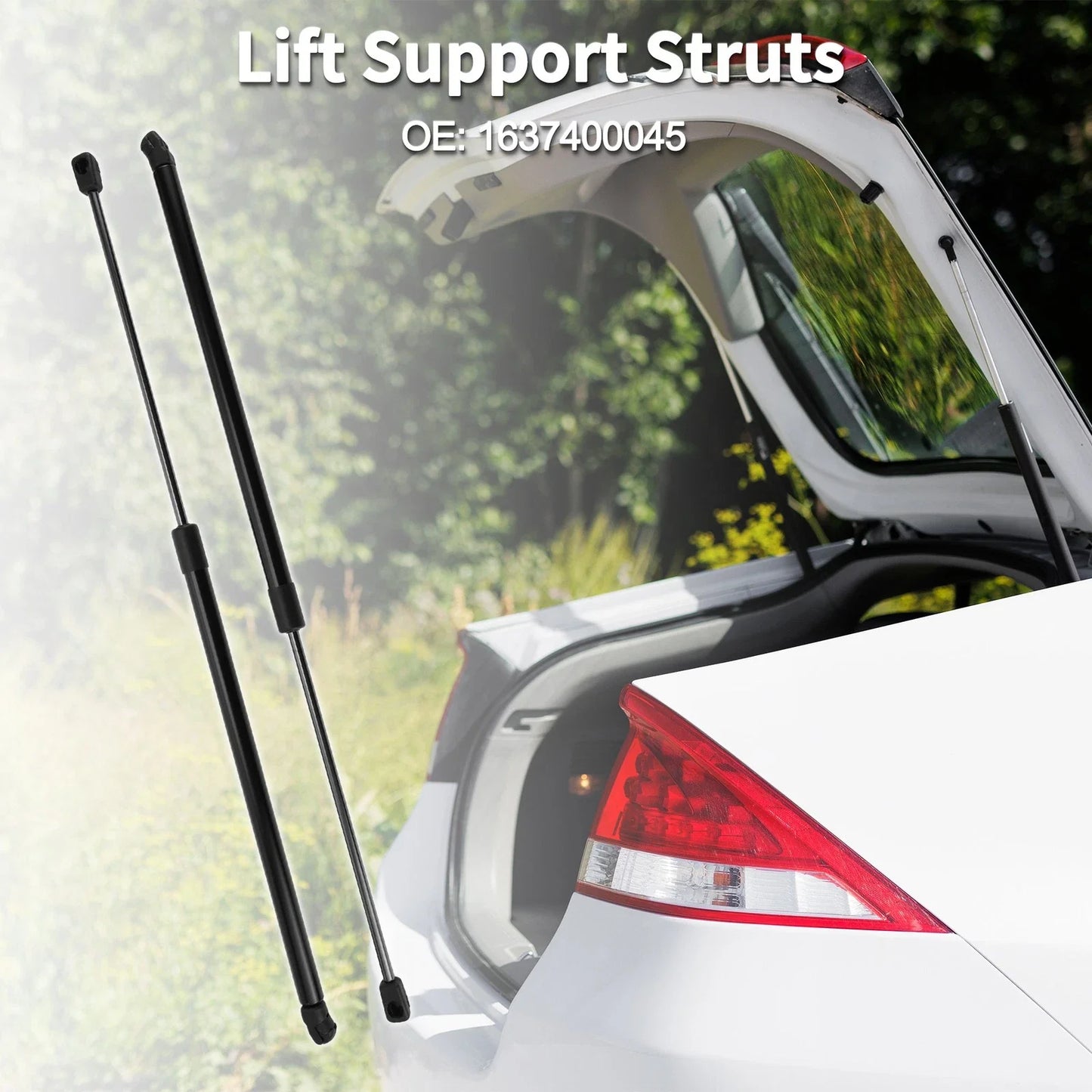 Rear Hatch Lift Supports for Mercedes-Benz ML320 (2000-2005)