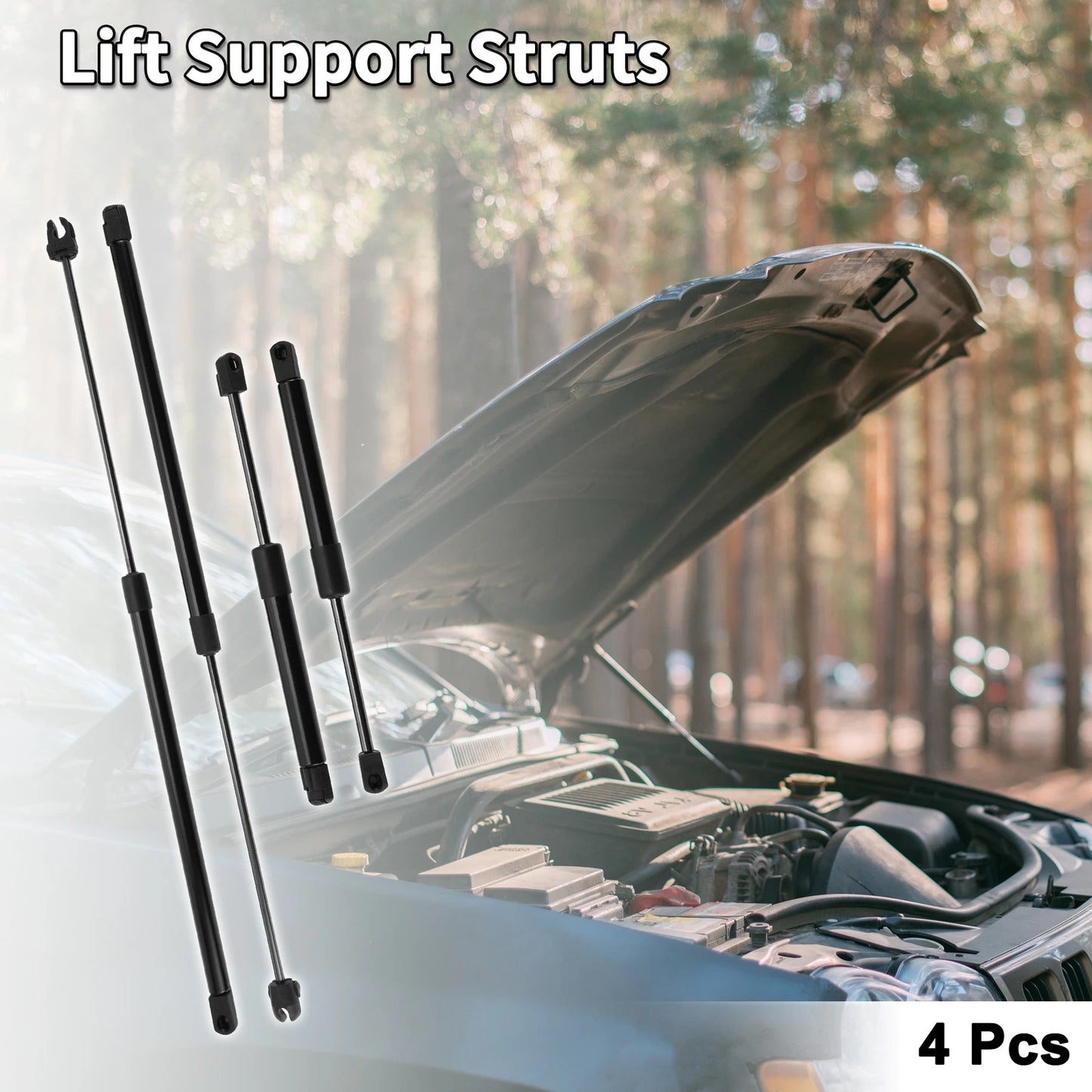 Set of 2 Lift Supports Struts for Dodge Intrepid (1998–2004)