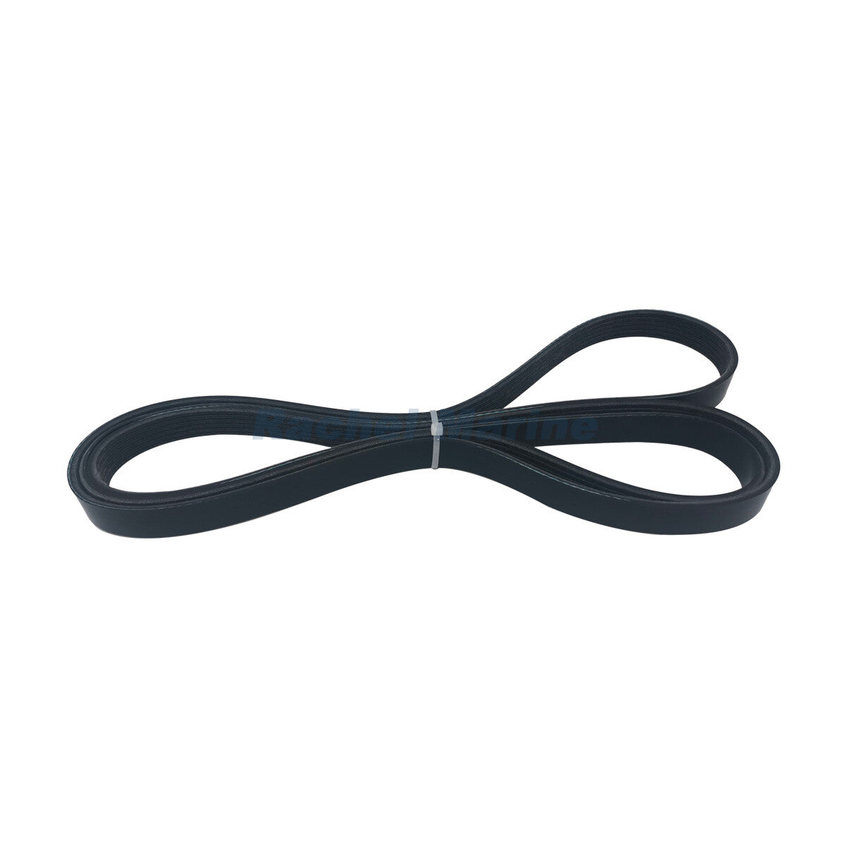 Serpentine Belt for MerCruiser Sierra (2018–2022)