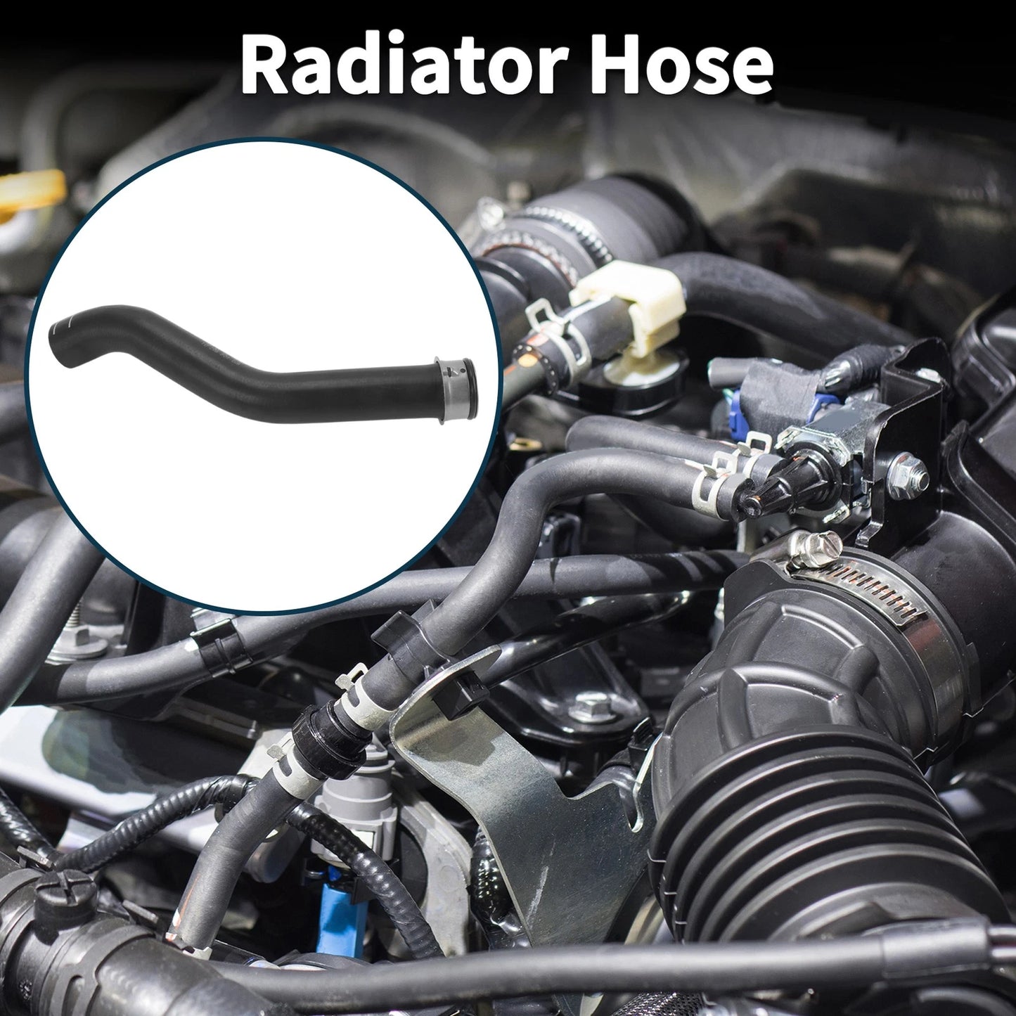 Radiator Hose No.97010650201 for Porsche Panamera (2011–2016)