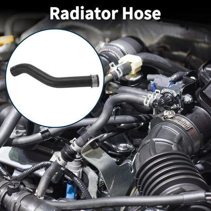 Radiator Hose No.97010650201 for Porsche Panamera (2011–2016)