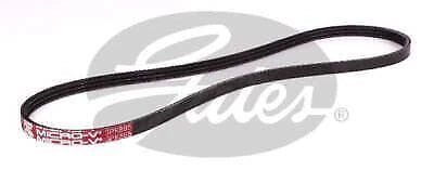 Drive Belt