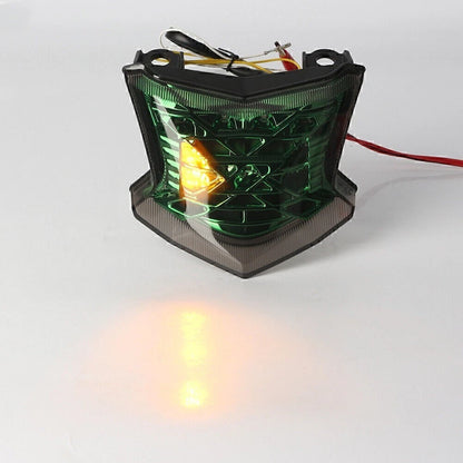 Rear LED Turn Signal Taillight Lamp for Kawasaki Z900/Z650 ABS (2017–2023)