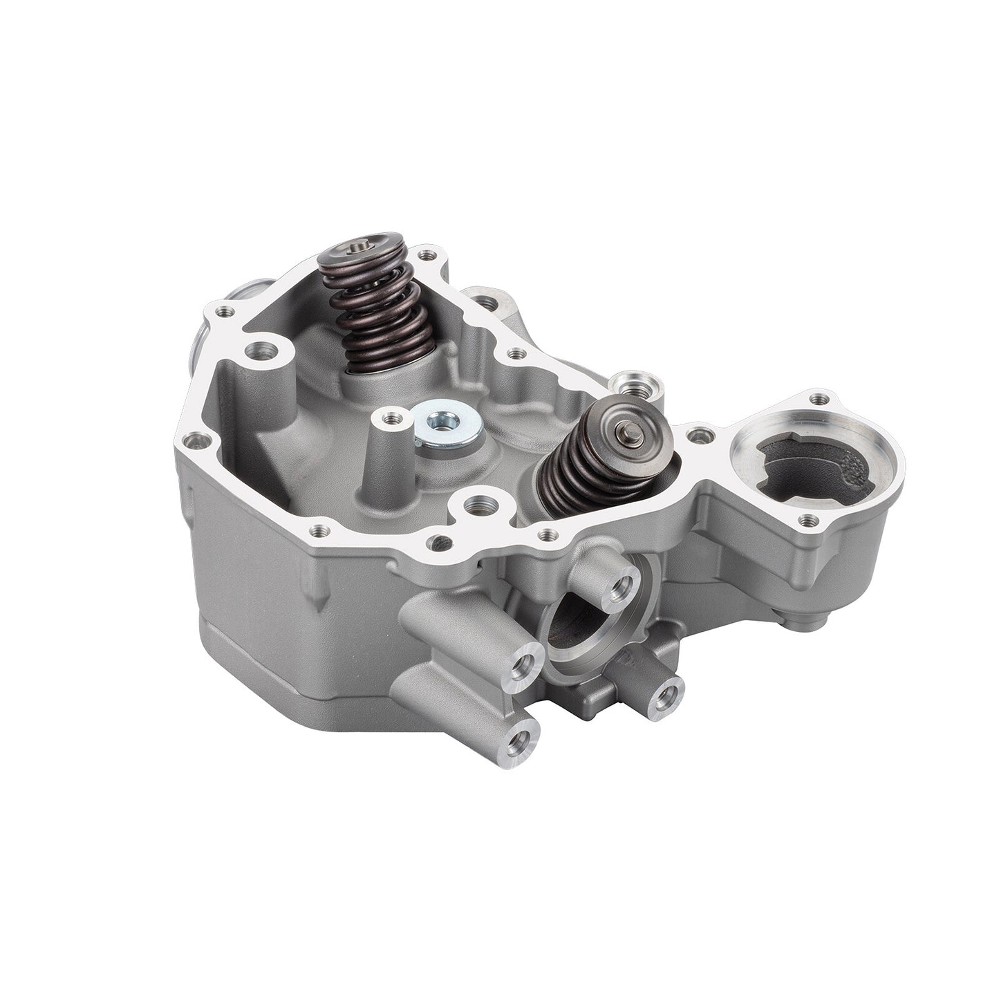 Cylinder Head Valves Kit for Honda Pioneer 500 (2015–2023)