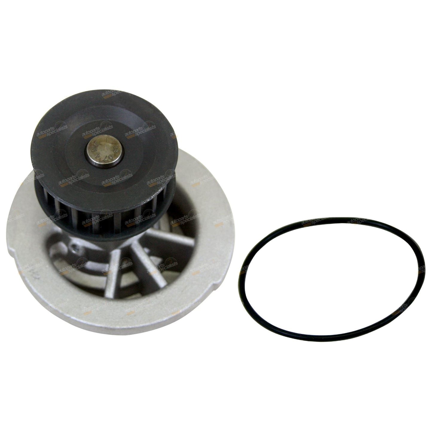 Timing Belt