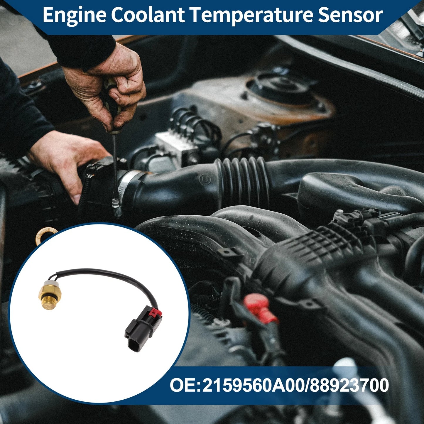 Engine Coolant Temperature Sensor No. 2159560A00 for Nissan Sunny (2011–2016)