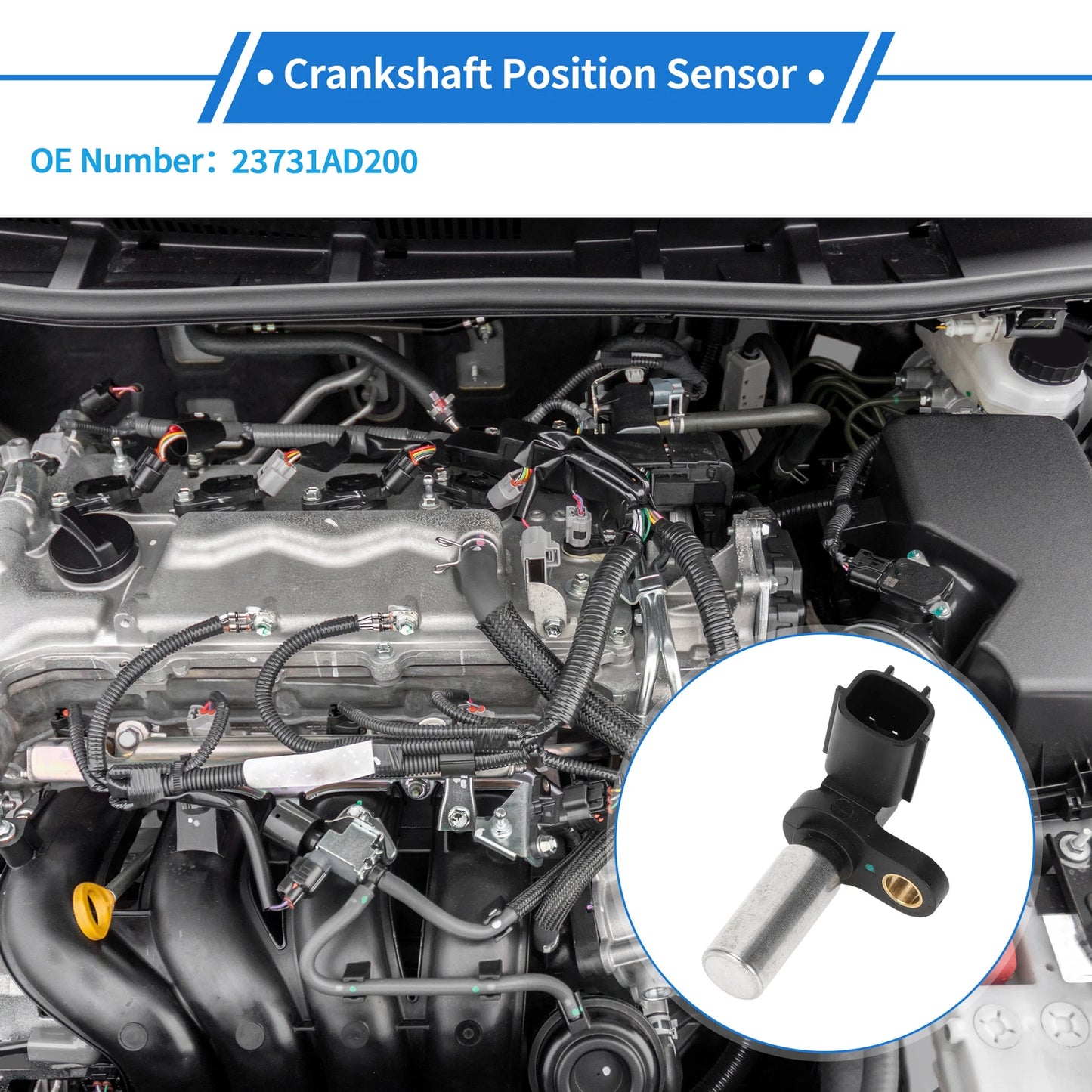 Crankshaft Position Sensor for Nissan Almera Tino 2.2dCi (2003–2006) No. 23731AD200