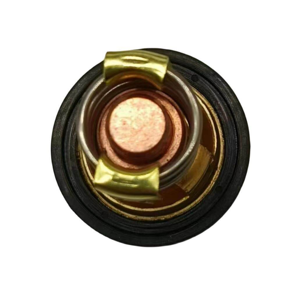 Thermostat for Mercury 200-300 Hp