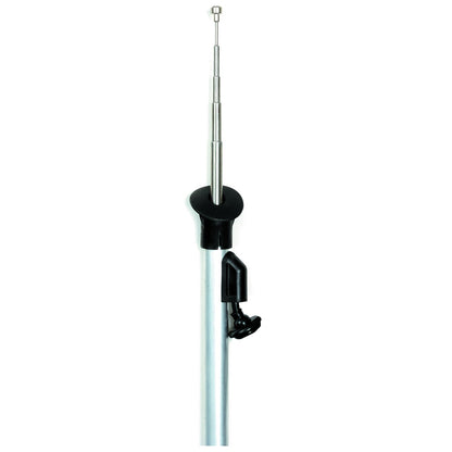 Antenna for Ford Falcon AU (1998–2002)