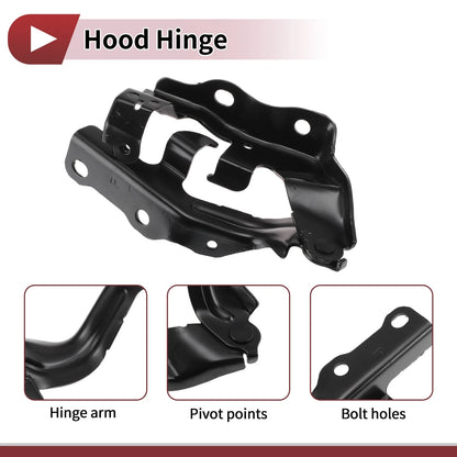 Hood Hinge for Toyota Camry (2002–2021) Right Side 1 pcs