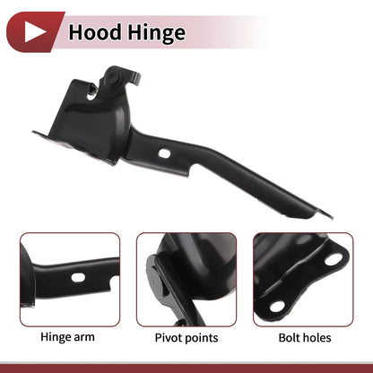 Hood Hinge for Toyota Highlander (2015) Right Side