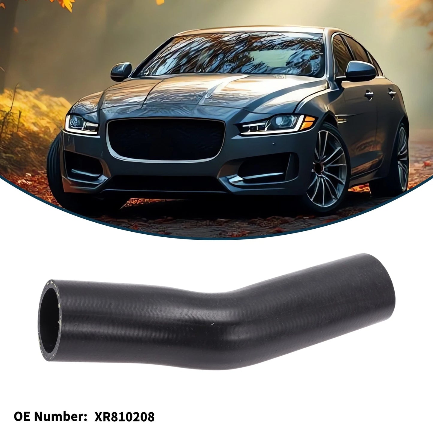 Radiator Hose No.XR810208 for Jaguar XF (2006–2016)