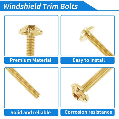 Windshield Bolts for Harley Road Glide (2015–2024) Titanium Alloy Gold Tone