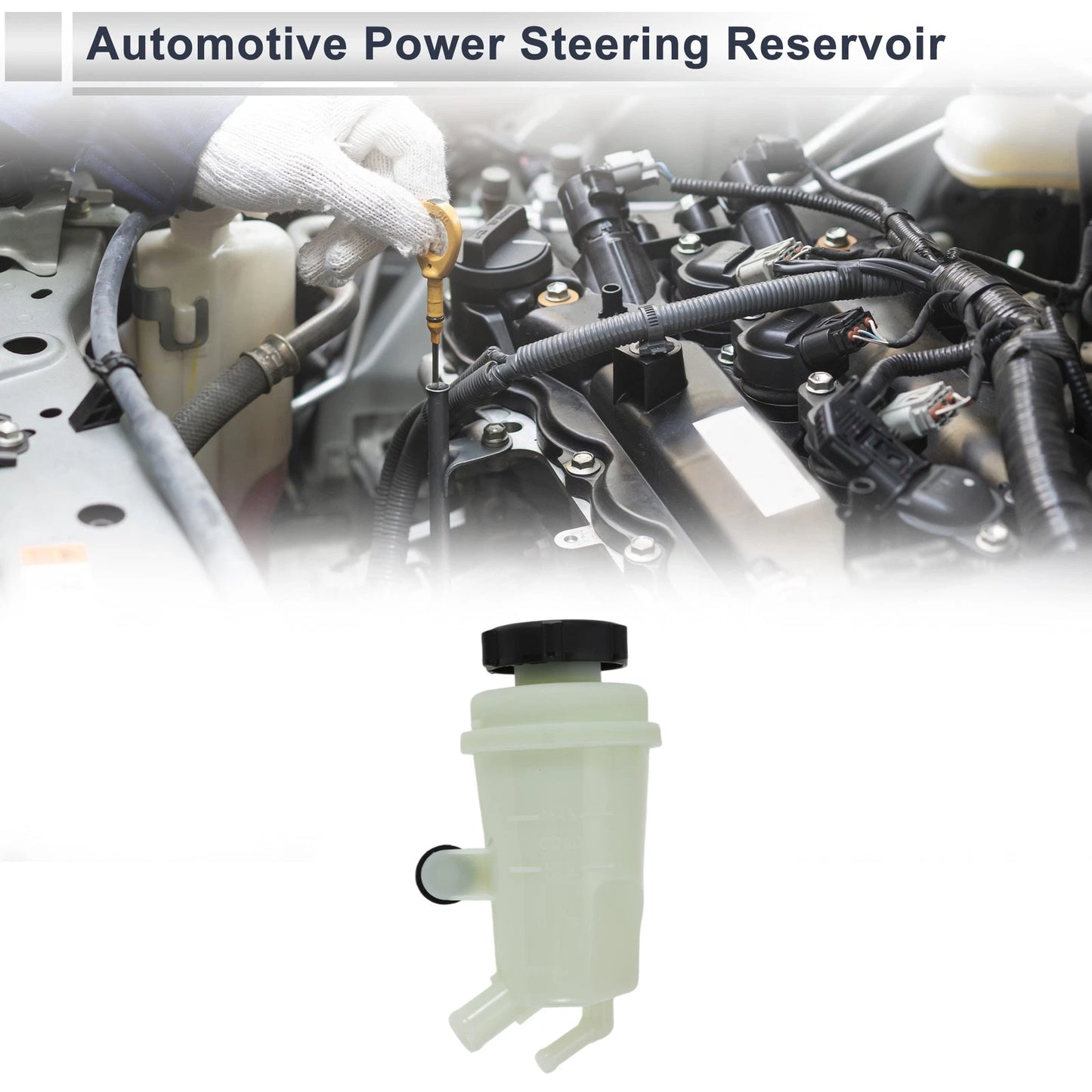 Power Steering Reservoir for Ford Focus (2000–2004) 1 Pc Beige