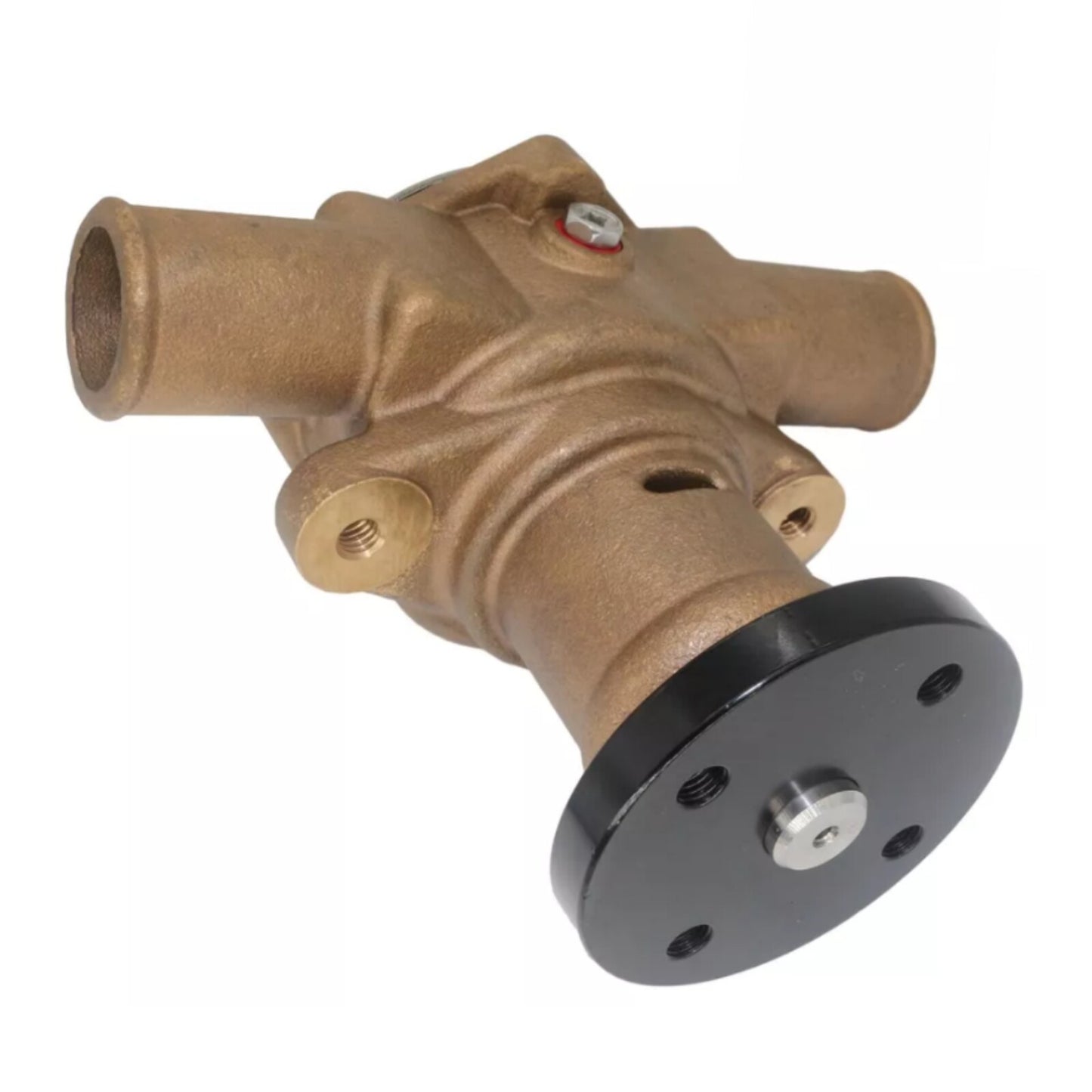 Raw Water Pump for Sherwood Crusader