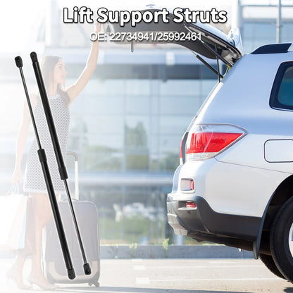 Set of 2 Rear Hatch Lift Supports Struts No.22734941 for Chevrolet HHR (2006–2011)