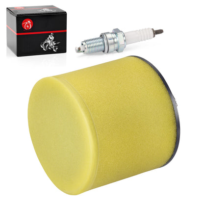 Air Filter and Spark Plug for Honda TR200 Fat Cat (1986–1987)