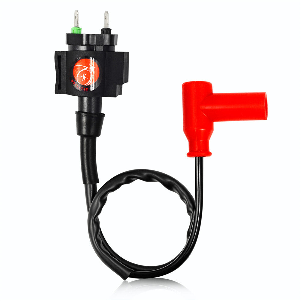 Ignition Coil and CDI Module for Honda TRX400FW (1995–2003)