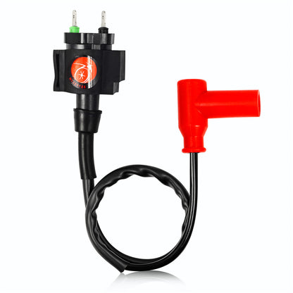 Ignition Coil and CDI Module for Honda TRX400FW (1995–2003)
