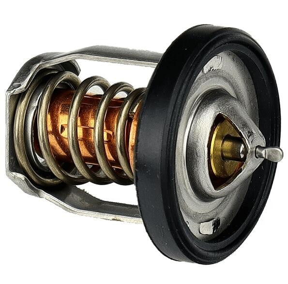 Thermostat for Suzuki Johnson Outboards DF8A-30A (2001–2002)