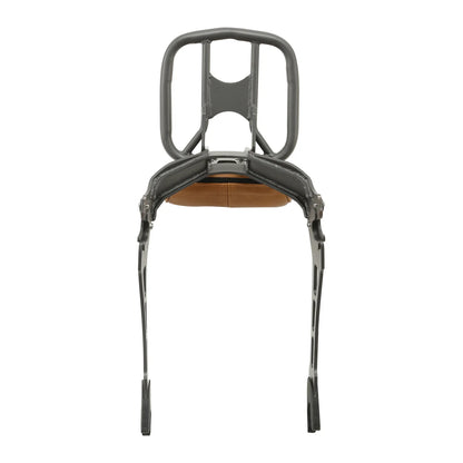 Passenger Backrest Sissy Bar Luggage Rack for Indian Scout Sixty (2015-2024)
