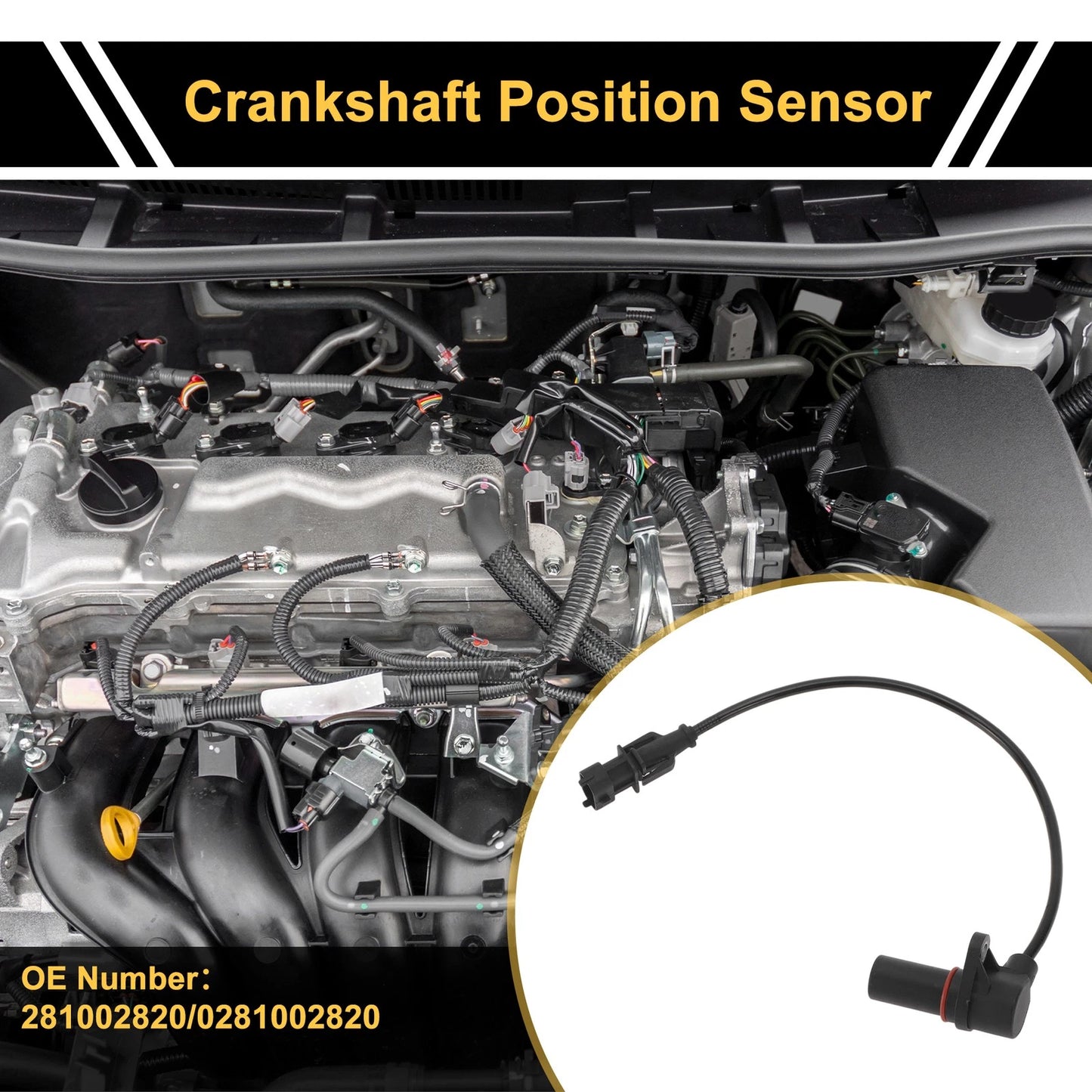 1 Pc Crankshaft Position Sensor for Ford Ranger 2.5 (2006-2011)