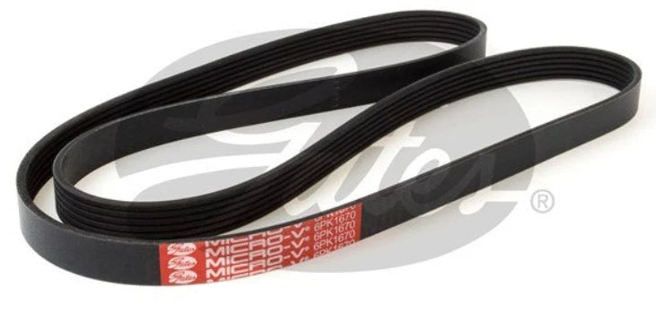 Gates Belt for Triton MQ MR (2015–2021)