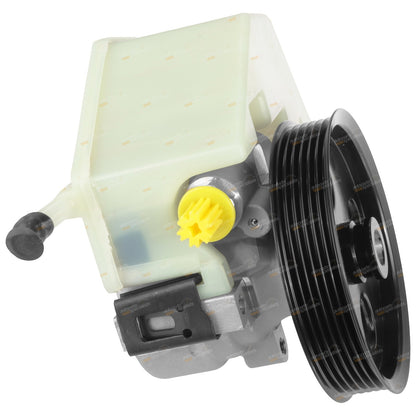 Power Steering Pump for Ford Falcon BA BF FG Territory SX SY (2002–2016)