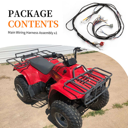 Wiring Harness for Kawasaki Bayou 220 (1999–2000)