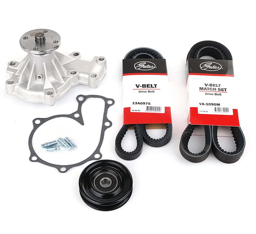 Drive Belt