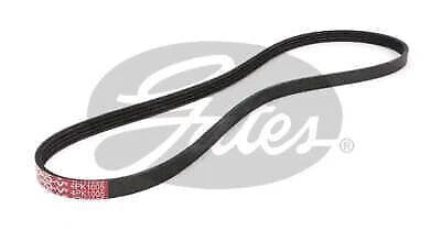 Drive Belt for Gates (4PK1005)