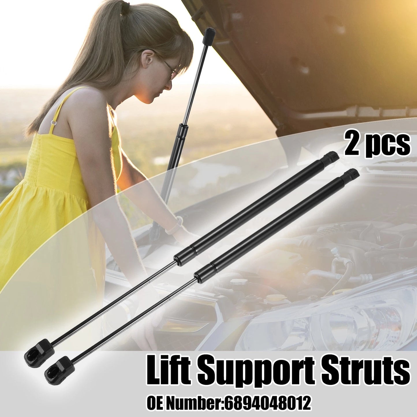 2X Rear Glass Window Lift Support Gas Struts for Toyota Highlander (2009–2013)