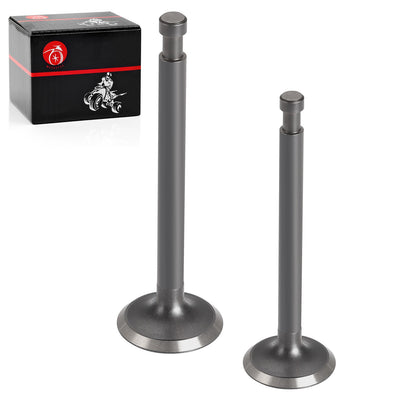 Exhaust Intake Valve for Club Car Golf Cart 341cc (1984–1991)