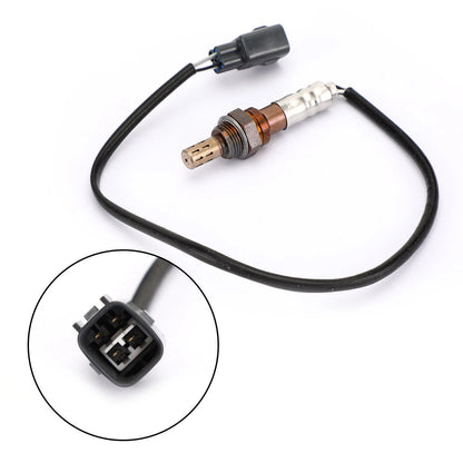 Zs-B1 Belt Buckle Clip for Kd C1/C2 Rt22 Rt622 Walkie Talkie (A1)